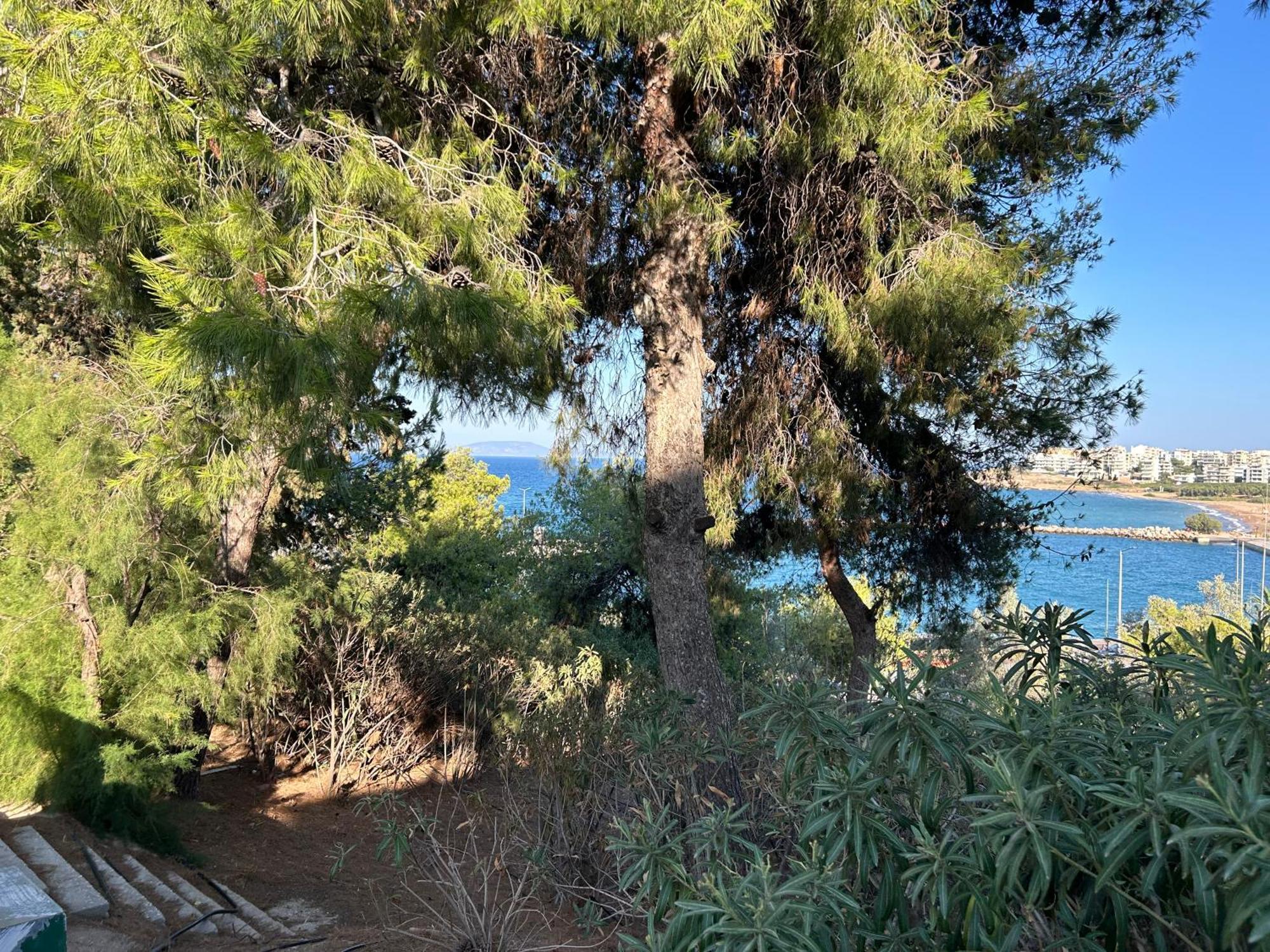 Stella'S Petite Boite Διαμέρισμα Ραφήνα Εξωτερικό φωτογραφία